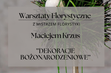Main pic news warsztaty 14 listopad 470 x 310 mm