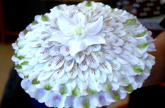 Main pic medium kameliowa alstromeria i eucharis