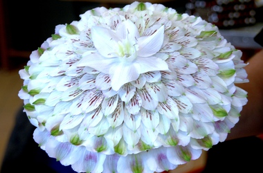 Main pic news kameliowa alstromeria i eucharis