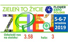 Main pic medium baner zaproszenie 1