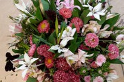 Photo 20150927 161259