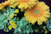 Photo 20160515 130639
