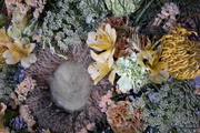 Photo 20170408 104202